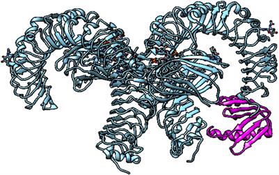 Integrated immunoinformatics and subtractive proteomics approach for multi-epitope vaccine designing to combat S. pneumoniae TIGR4